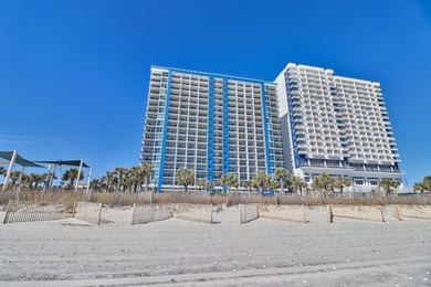 Freshly remodeled, updated unit on the 11th floor with amazing