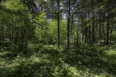 Unique acreage in Natural Lakes off CTH B & Bluebill Rd! A mix - photo 17