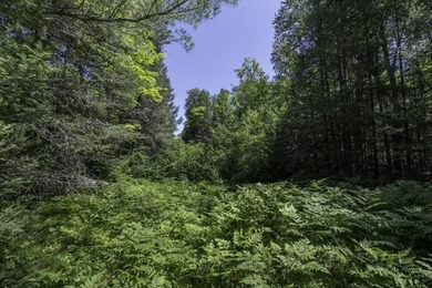 Unique acreage in Natural Lakes off CTH B & Bluebill Rd! A mix - photo 21