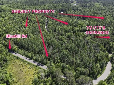 Unique acreage in Natural Lakes off CTH B & Bluebill Rd! A mix - photo 22