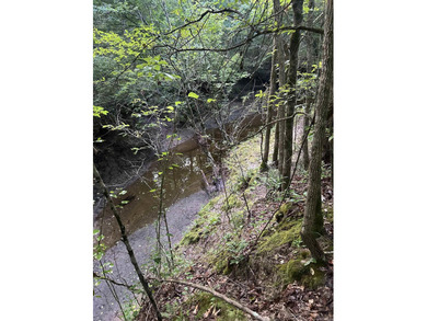 (private lake, pond, creek) Acreage For Sale in Washington Arkansas