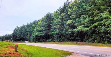 This property with available waterfront is Lake Gaston's best - photo 4