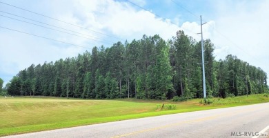 This property with available waterfront is Lake Gaston's best - photo 8