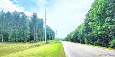 This property with available waterfront is Lake Gaston's best - photo 9