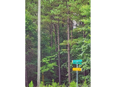 Lake Gaston's prime location for new business development is in - photo 4