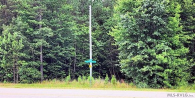Lake Gaston's prime location for new business development is in - photo 6