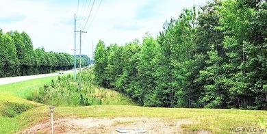 Lake Gaston's prime location for new business development is in - photo 9