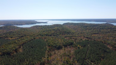 Lake Acreage For Sale in Stewart, Tennessee