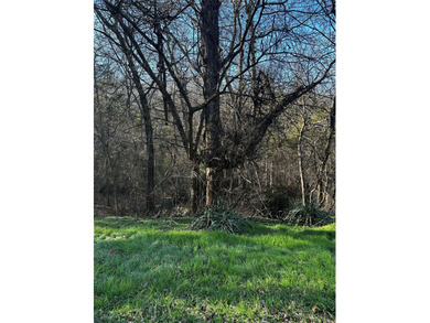 Great location for new construction, or modular home. Just - photo 4