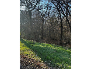 Great location for new construction, or modular home. Just - photo 5