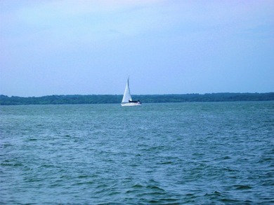 Great location for new construction, or modular home. Just - photo 7