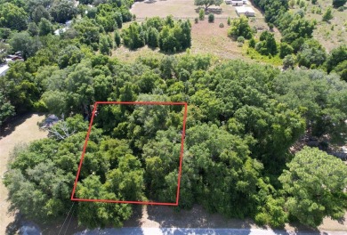 Lake Lot For Sale in Summerfield, Florida