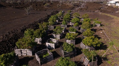 Commercial-Zoned Tropical Farm with Dual-Living Home & Highway - photo 10