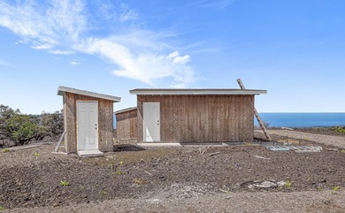 Owner Financing! Island Home with Established Dragon Fruit Farm - photo 1