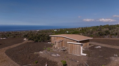 Owner Financing! Island Home with Established Dragon Fruit Farm - photo 3