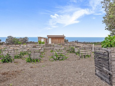 Owner Financing! Island Home with Established Dragon Fruit Farm - photo 4