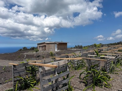 Owner Financing! Island Home with Established Dragon Fruit Farm - photo 6