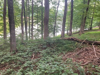 Now might be the time to take advantage of this property - photo 4