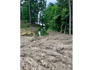 Don't miss this opportunity to own an affordable waterfront - photo 11