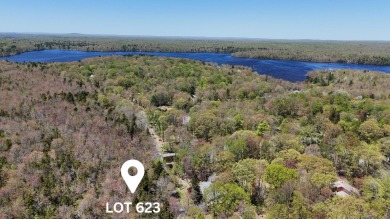 Lake Lot For Sale in Pocono Summit, Pennsylvania