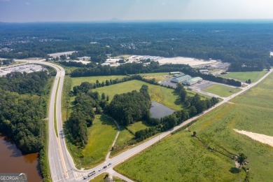 Exceptional development opportunity in Paulding County - photo 2