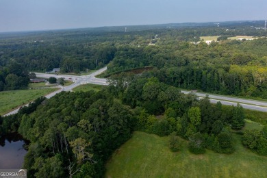 Exceptional development opportunity in Paulding County - photo 5