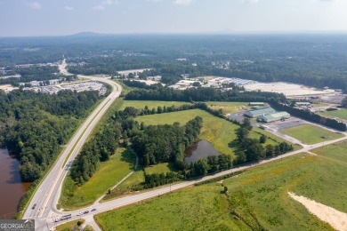 Exceptional development opportunity in Paulding County - photo 6
