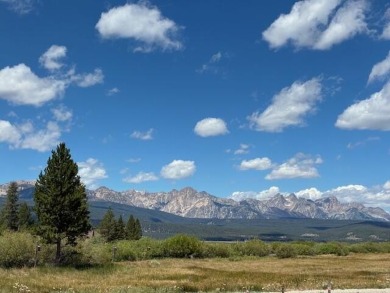 (private lake, pond, creek) Lot For Sale in Stanley Idaho