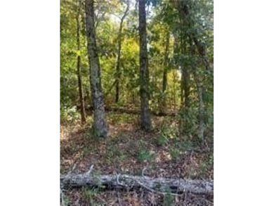 Lake Ann Lot For Sale in Bella Vista Arkansas