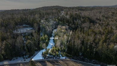  Lot For Sale in Mont-Tremblant 