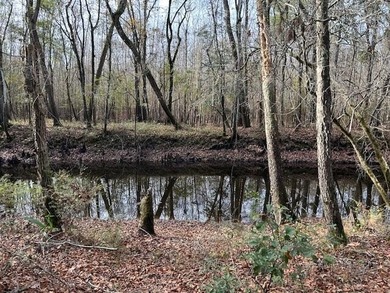 (private lake, pond, creek) Lot For Sale in Ravenel South Carolina