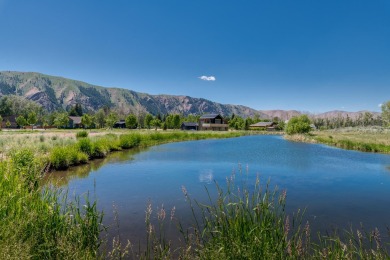 (private lake, pond, creek) Lot For Sale in Hailey Idaho