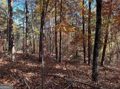 Carters Lake Lot For Sale in Ranger Georgia