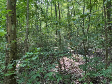  Lot For Sale in Big Sandy Tennessee