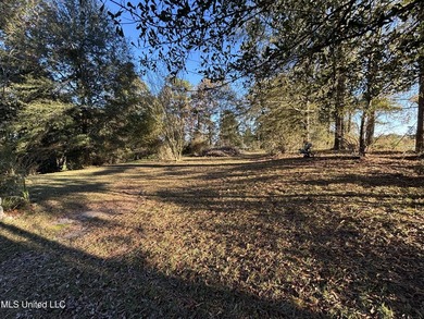 Charming Country Home on 12 Acres in Bay Springs Community!Come - photo 4