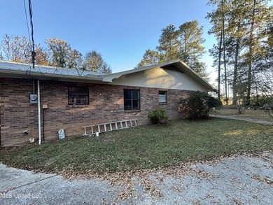 Charming Country Home on 12 Acres in Bay Springs Community!Come - photo 8