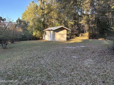 Charming Country Home on 12 Acres in Bay Springs Community!Come - photo 10