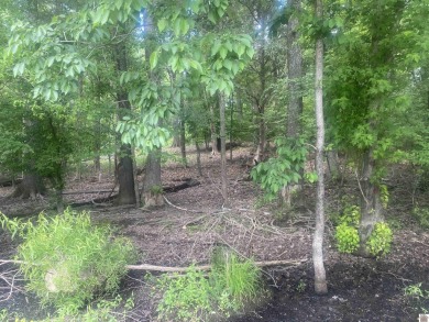(private lake, pond, creek) Acreage For Sale in Cadiz Kentucky