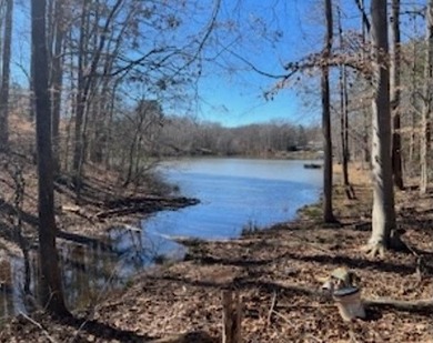 Discover serene lakefront living on this beautiful 1.66-acre lot - photo 4