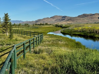 (private lake, pond, creek) Lot For Sale in Picabo Idaho