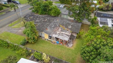 **Renovation Opportunities:** With a single-level layout, this - photo 14