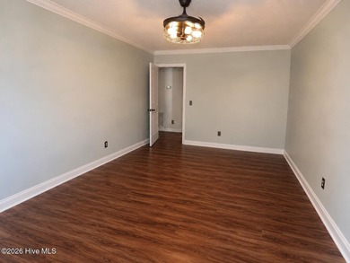 Ultimate Wilmington Freedom: Single-Level Living on 0.45 Acres - photo 29