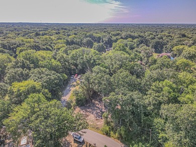 Cleared, Tree-Covered Lot Near Cedar Creek Lake - Ready for Your - photo 10