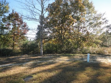 This Lot is ready for your dream home to be built here - photo 2