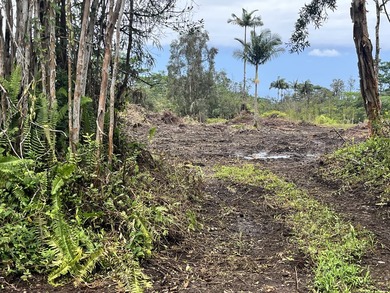 Beautiful opportunity to build your Island dream! Three - photo 1
