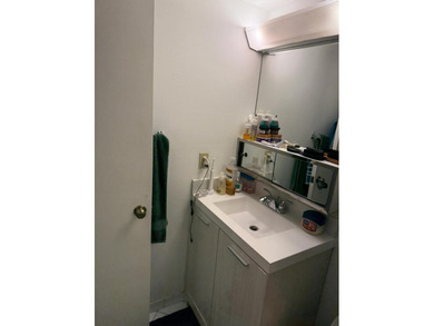 1ST FLOOR, LOVELY 2 BEDRM CONVERTIBLE, MOVE IN CONDITION, LIGHT - photo 13