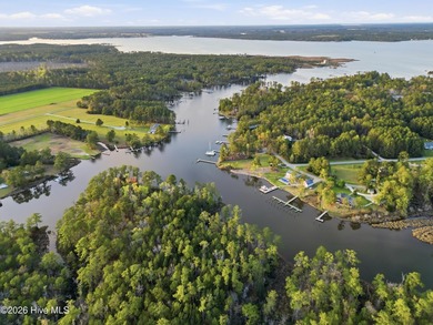 Look no further for undeveloped, unrestricted waterfront acreage - photo 14