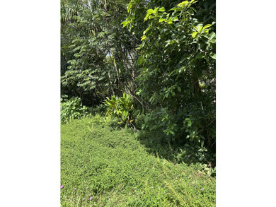 12,253 sq ft land in always desirable Hawaiian Shores. Located - photo 2