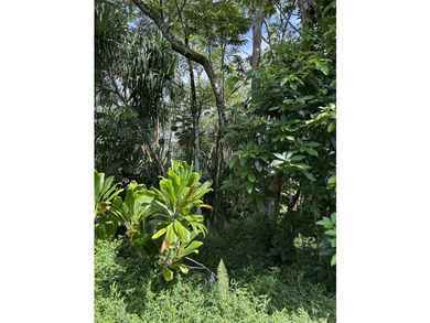 12,253 sq ft land in always desirable Hawaiian Shores. Located - photo 8