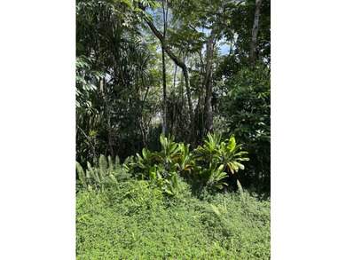 12,253 sq ft land in always desirable Hawaiian Shores. Located - photo 9
